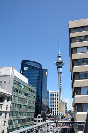 DSC_2979