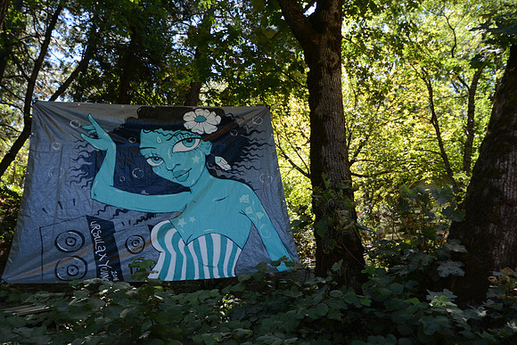 DSC_8552