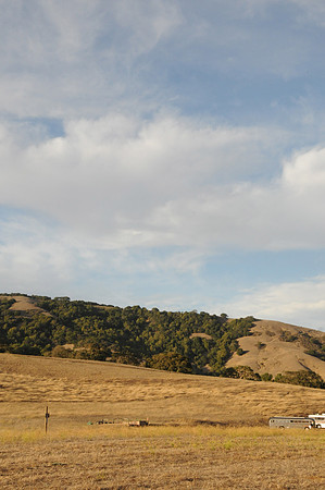 DSC_6479