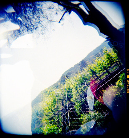 wine-country-ca_3387119762_o