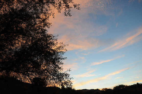 DSC_6641