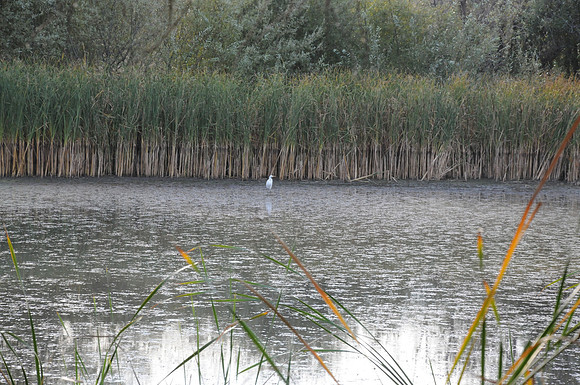 DSC_6403