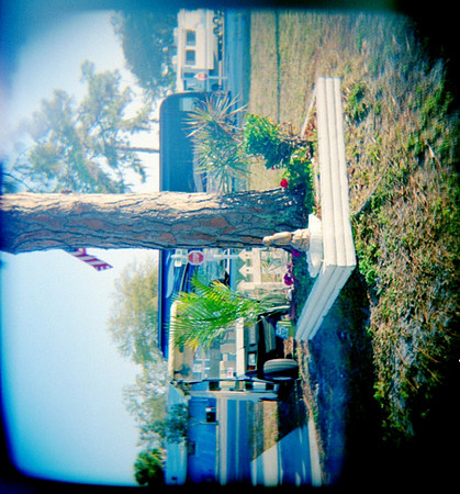 florida-trip-309_3386310955_o