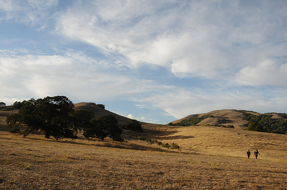 DSC_6480