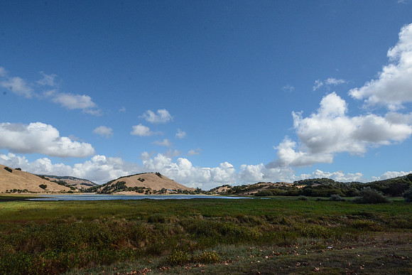 DSC_0655