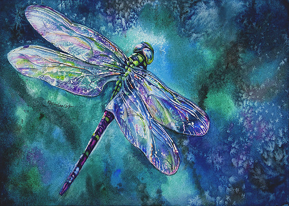 dragonfly-magic-patricia-allingham-carlson