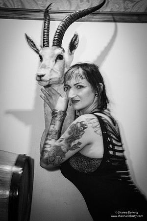 DSC_7337