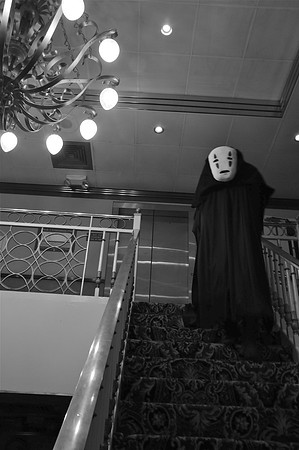 DSC_7072