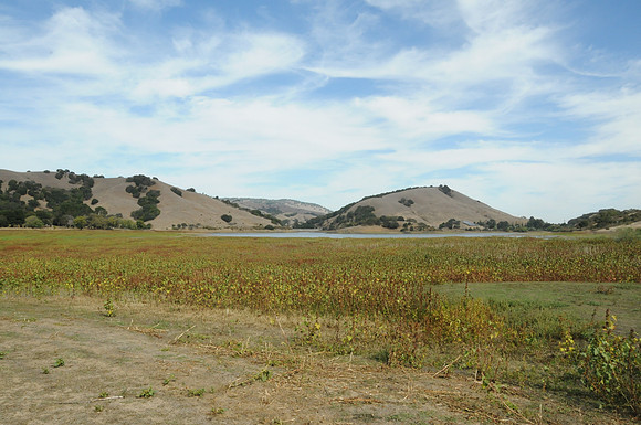 DSC_6155