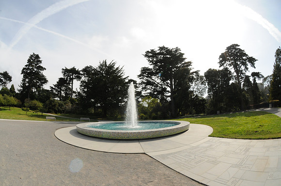 DSC_5896