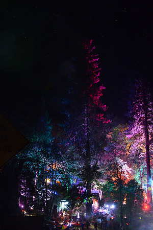 DSC_6290