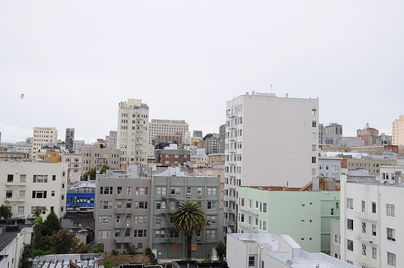 DSC_0064