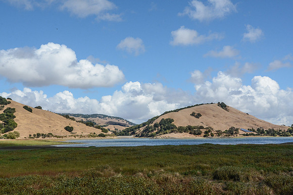 DSC_0653