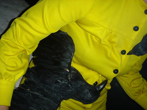 DSC04337