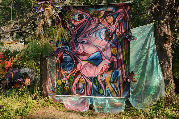 DSC_3443