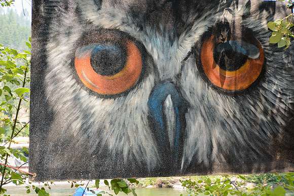 DSC_3539
