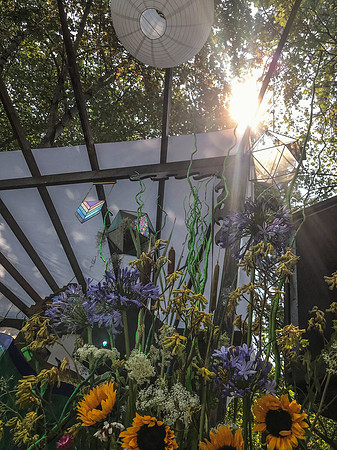 IMG_6073