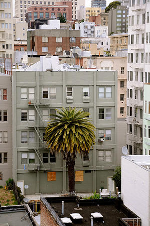 DSC_0047