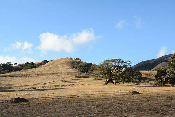 DSC_1010