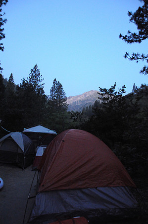 DSC_0294