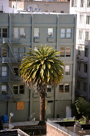 DSC_0141