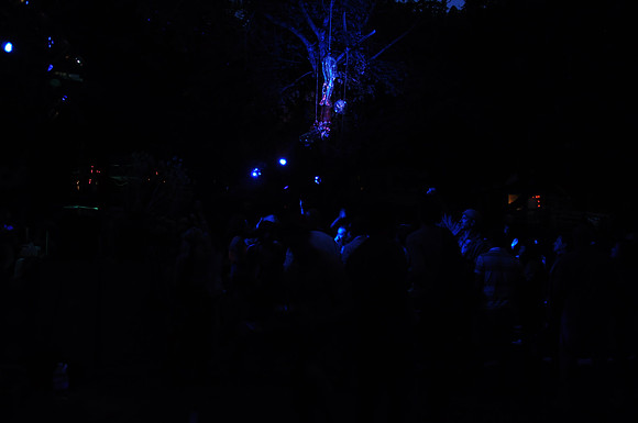 DSC_0380
