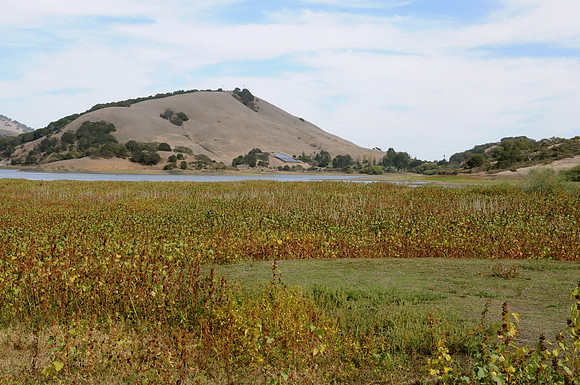 DSC_6157 23-09-31
