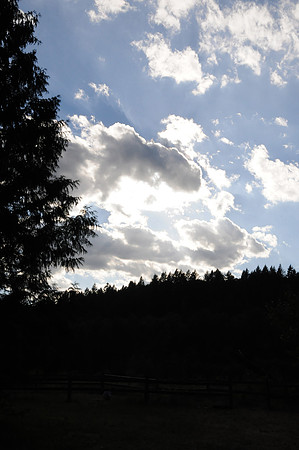 DSC_9697