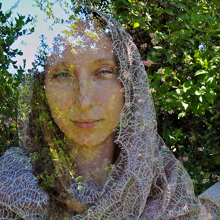 DSC_6688E2lite