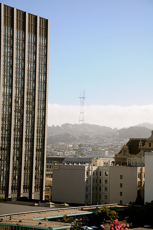 DSC_0164