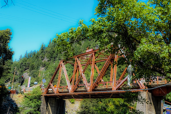 DSC_6640