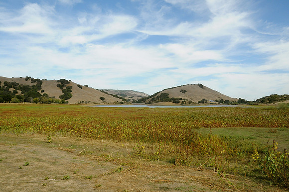 DSC_6155 23-09-31