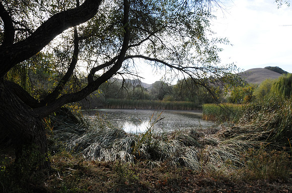 DSC_6401