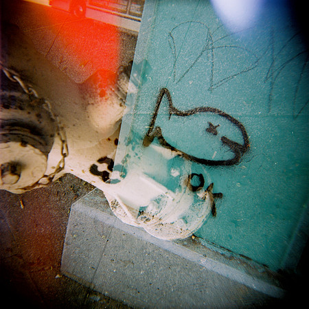 fh000003_4033479861_o