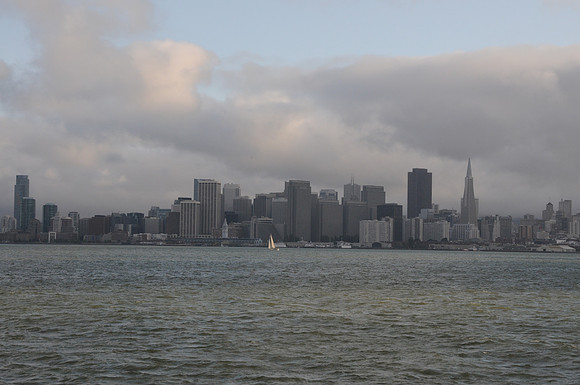 DSC_8229