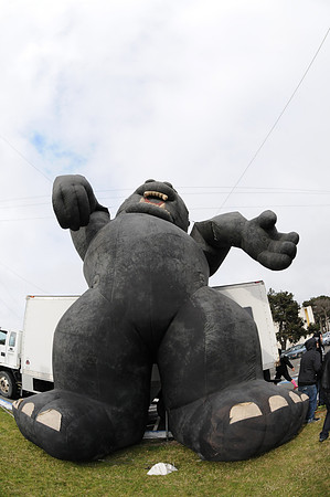DSC_8116
