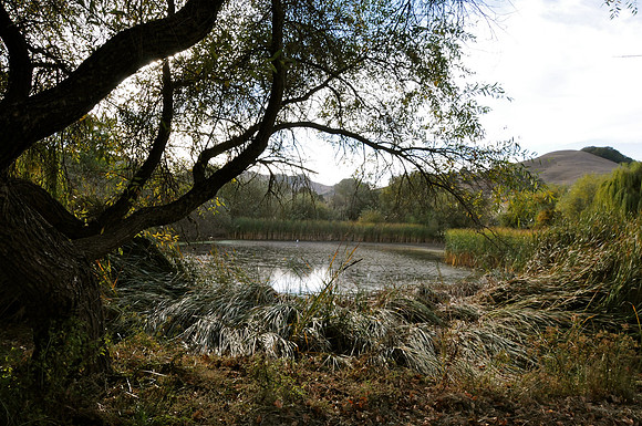 DSC_6401 23-11-22