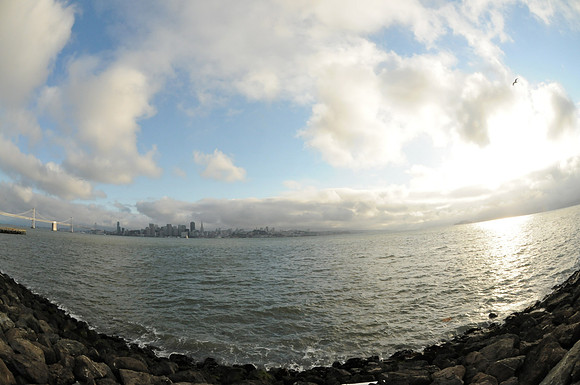 DSC_8217