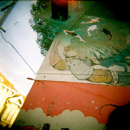 double-exposure-italian-artist-erica-il-cane-and-koi-fish-by-jeremy-novy_5319257828_o