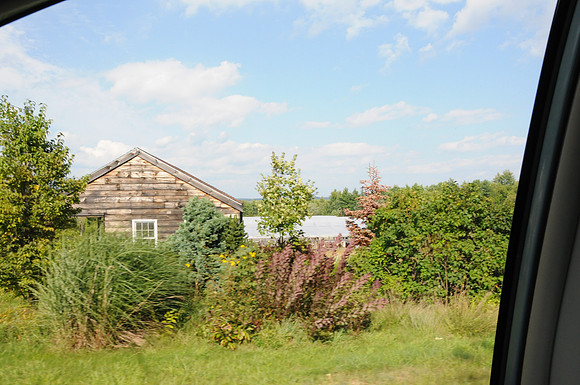 DSC_3012