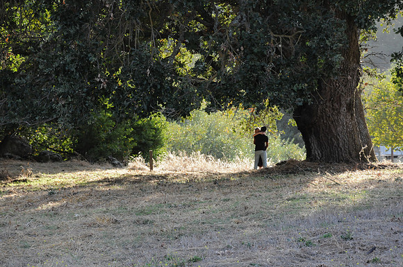 DSC_6475