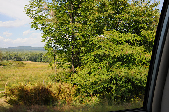 DSC_3004