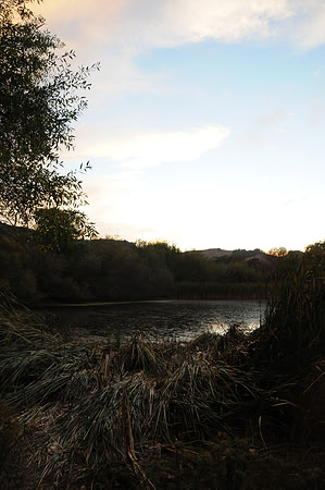 DSC_6619