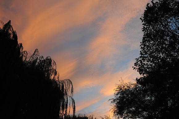DSC_6644