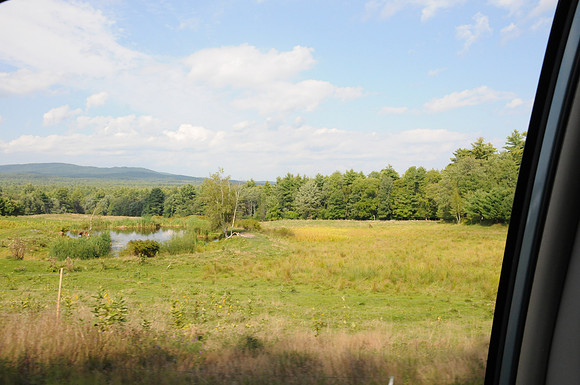 DSC_3007