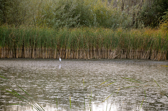 DSC_6408