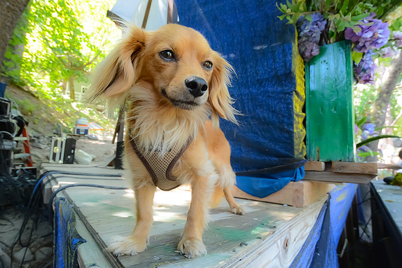 DSC_6478