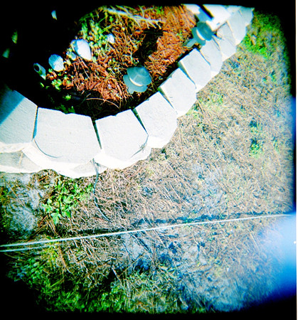 florida-trip-309_3386311771_o