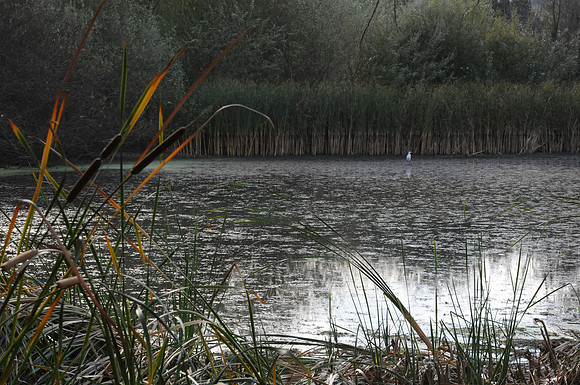 DSC_6406