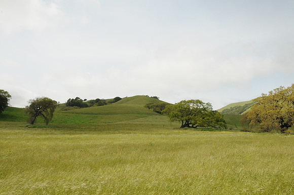 DSC_3626